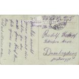 1917 - Merry Christmas! Colored photo sheet, greeting card. (2791562)