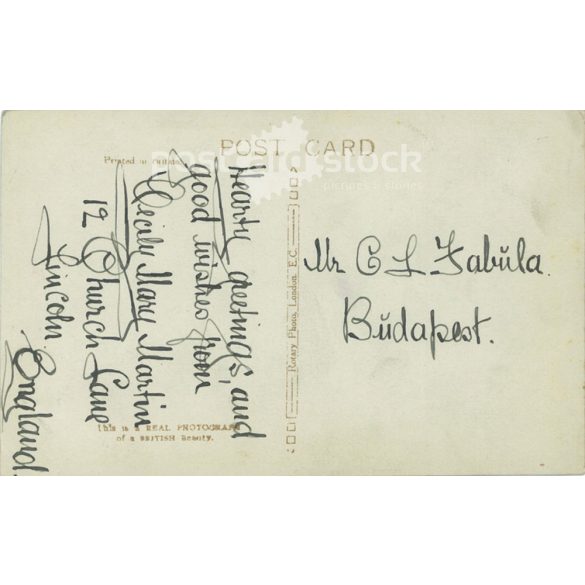 Romantic postcard. Colored photo sheet. (2791566)