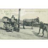 1905 - Series of comic situations, set scenes. Photo sheet, postcard. (2791577)