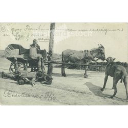   1905 - Series of comic situations, set scenes. Photo sheet, postcard. (2791577)