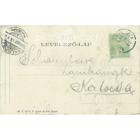 1905 - Series of comic situations, set scenes. Photo sheet, postcard. (2791577)