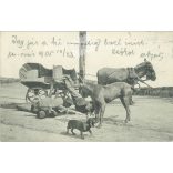 1905 - Series of comic situations, set scenes. Photo sheet, postcard. (2791581)