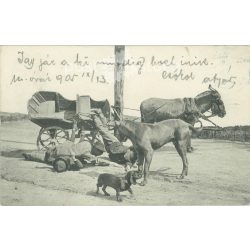   1905 – Series of comic situations, set scenes. Photo sheet, postcard. (2791581)