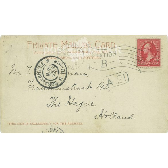 1901 - View of Detroit. USA. Colored photo sheet, postcard. (2791589)