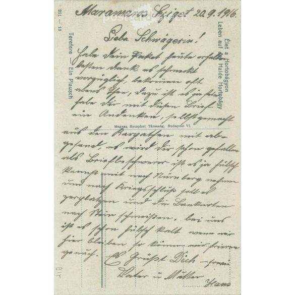 1916 - Life on the Hortobágy. Colored photo sheet, postcard. (2791600)