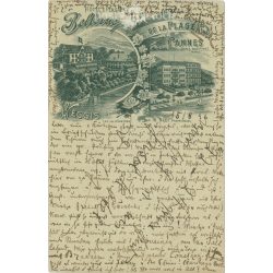 1896 - Weggis. Illustrated postcard. (2791606)