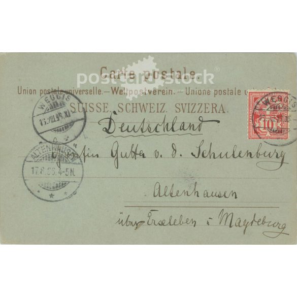 1896 - Weggis. Illustrated postcard. (2791606)