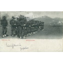 1902 - Snipers. Photo sheet, postcard. (2791613)