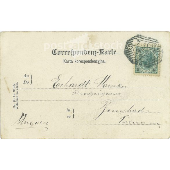 1901 - Czernowitz. Ukrainian peasant girl in wedding jewelry. Photo sheet, postcard. (2791629)