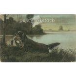 Wild duck hunting. With unique graphics. Postcard. (2791641)