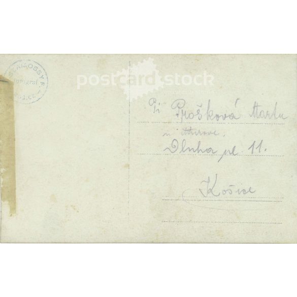 Photo of young lady. Szamossy photographer. Checkout. Colored photo sheet, postcard. (2791643)