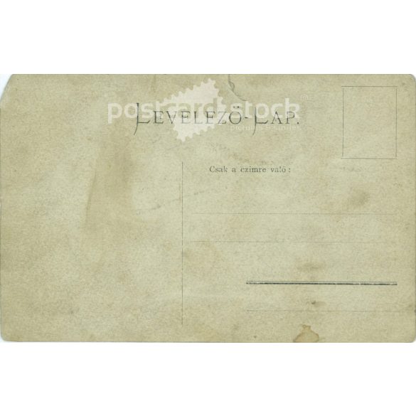 Girl school, group photo. Photo sheet, postcard. (2791676)