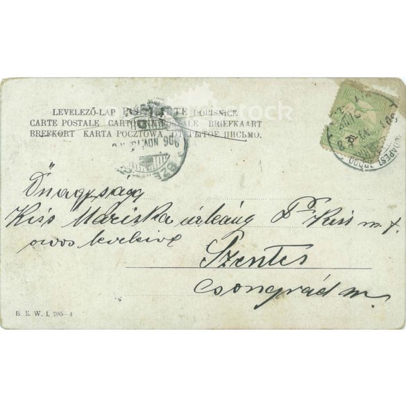 1903 - Romantic postcard. Colored photo sheet. (2791681)