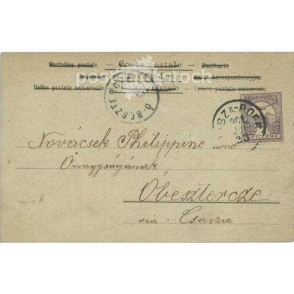 1901 - Romantic postcard. Colored photo sheet. (2791728)