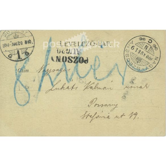 1900 - Modrý Kameň Castle. Slovakia. Black and white photo sheet, postcard. (2791761)