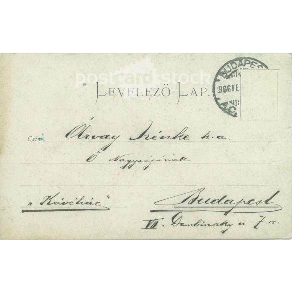 1906 - Male portrait. Postcard, photo card. (2791769)