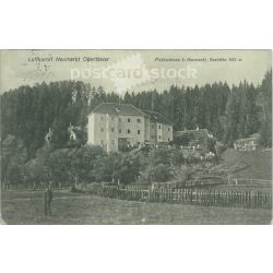   1908 - pa Neumarkt Obersteier. Postcard, photo sheet. (2791772)