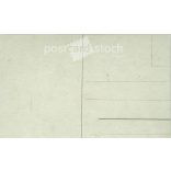 Middle class young woman with flowers. Studio shot, photo sheet. 1920s, 1930s. (2791798)