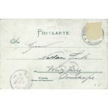 1913 - Fridtjof Nansen is a Norwegian polar researcher, oceanographer and diplomat. Postcard, photo sheet.(2791805)