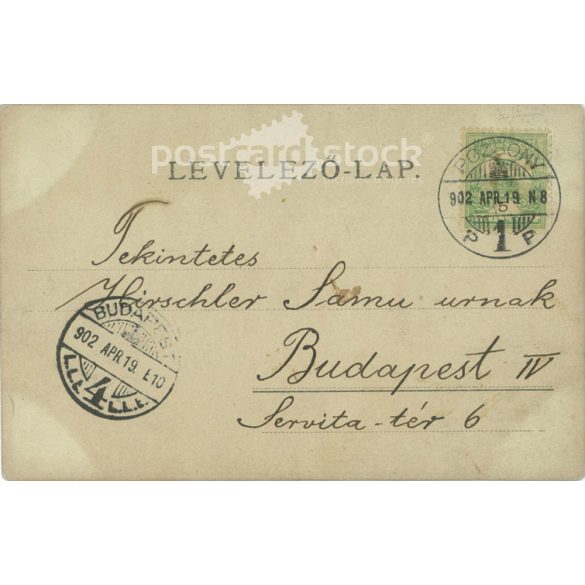 1902 - Studio photo of a more talented man in a hat with a walking stick. Postcard, photo sheet. (2791807)