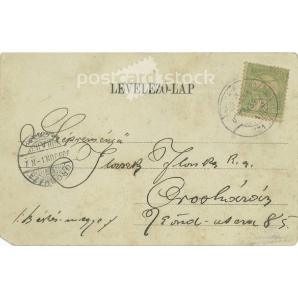 1903 - Greetings from Rózsahegy. Postcard, colored photo sheet. (2791808)