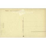 Naples, contemporary horse-drawn carriage loaded with bags. Postcard, photo sheet. (2791811)