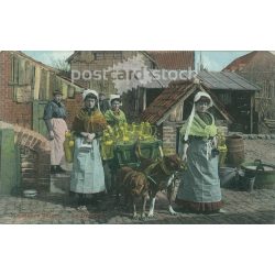   Belgian, milky girls in national costumes. Postcard, colored photo sheet. (2791813)