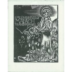   János Mata Szoboszlai (1907-1944). 20 woodcut books on the Hungarian parnassus. Originally published in 1935, a duplicate edition of the original clichés was made in 1,000 copies in 1982. Publisher in a canvas bound folder, complete. (2791844)