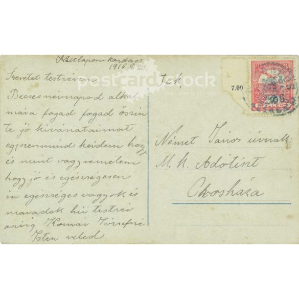 1916 - Name day greetings. Photo sheet, greeting card, postcard. (2791863)