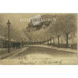 1904 - Tallinn. Reval - Aussere Sigsternstrasse. Estonia. Postcard, photo sheet. (2791886)