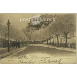   1904 - Tallinn. Reval - Aussere Sigsternstrasse. Estonia. Postcard, photo sheet. (2791886)