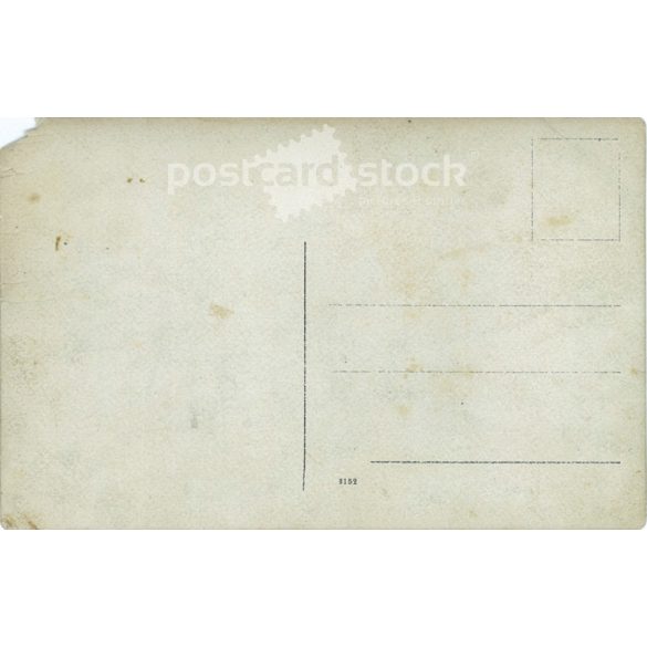 K.u.K. soldier in the company of ladies. Ladies in fashionable hats and clothes of the age. Postcard, photo sheet. (2791888)