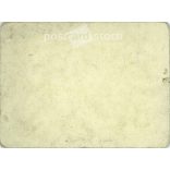 Full-length photo of a middle-aged American couple in the garden. Original paper image, hardback photo. (2791896)