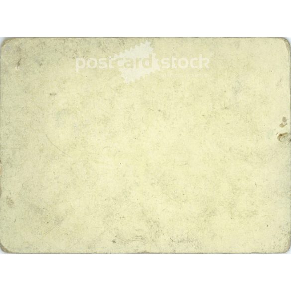 Full-length photo of a middle-aged American couple in the garden. Original paper image, hardback photo. (2791896)