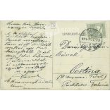 1911 - Girl dressed in Dutch folk costume with geese. Postcard, greeting card. (2791898)