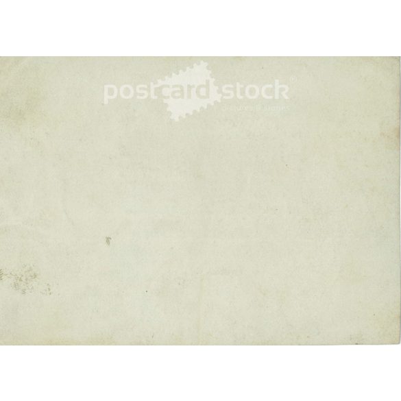 Idyllic group photo in the corner of the poultry yard. Photo sheet, original paper image. (2791899)