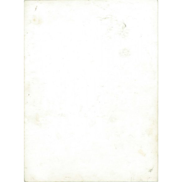 “Conspirators” at the moment of the fall. Photo sheet, original paper image. (2791900)