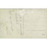 A family photo of a middle-class family taken in the photo studio of Vincze Takács. Debrecen. Original paper image. Postcard, photo sheet. (2791920)