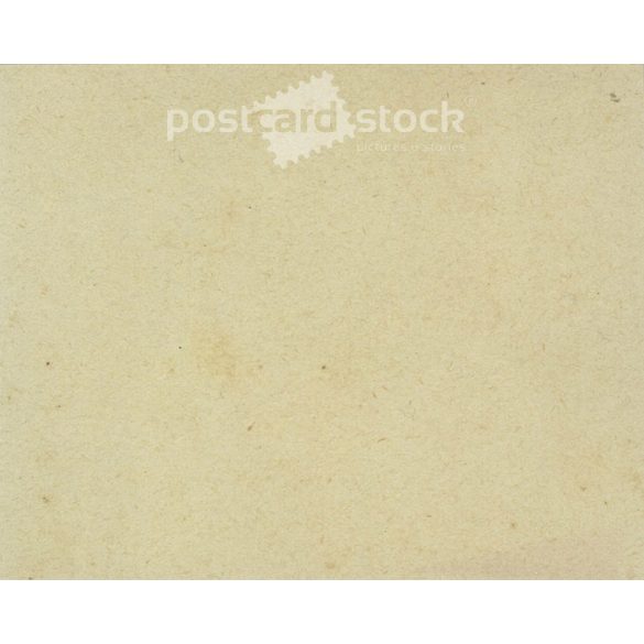 Grandpa’s two prides, his grandchildren. Original paper image. 1940s. (2791937)