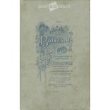 A full-length photo of young brothers in an elegant suit taken in M. Botfan’s photo studio. Budapest. Original paper image. Cabinet photo / hardback photo. (2791932)