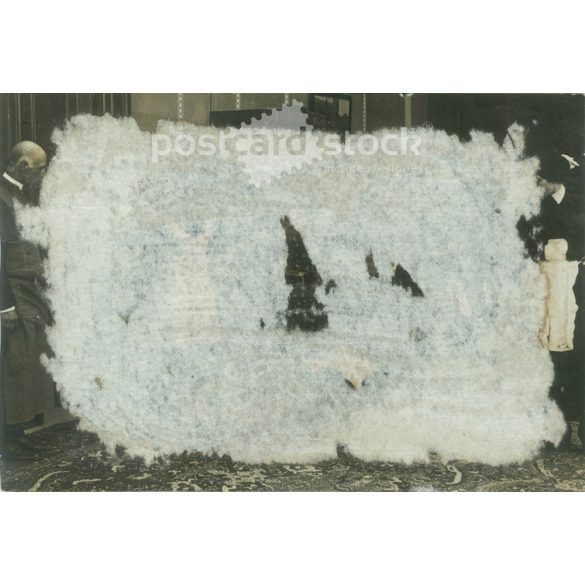 Family photo, original paper photo, studio shot of the turn of the century. (2791948)