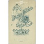 Cabinet photo taken in the photo studio of Décsei és Társa, Gyöngyös. Studio photo of a talented young man with a mustache and character.  Cabinet card / CDV photo / hardback photo. (2791956)