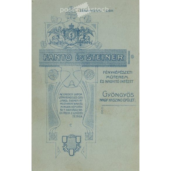 Cabinet photo taken in the photo studio of Fantó and Steiner, Gyöngyös. An artistic portrait photograph of an older man with his beard and mustache typical of the age.  Cabinet card / CDV photo / hardback photo. (2791958)