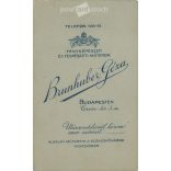 Cabinet photo taken in Géza Brunhuber’s photo studio in Budapest. Artistic portrait photo of young man in elegant suit and tie.  Cabinet card / CDV photo / hardback photo. (2791961)