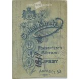 Cabinet photo taken in the photo studio of Károly Sellei in Újpest. Artistic portrait photo of young woman with exciting hairstyle and dress.  Cabinet card / CDV photo / hardback photo. (2791962)