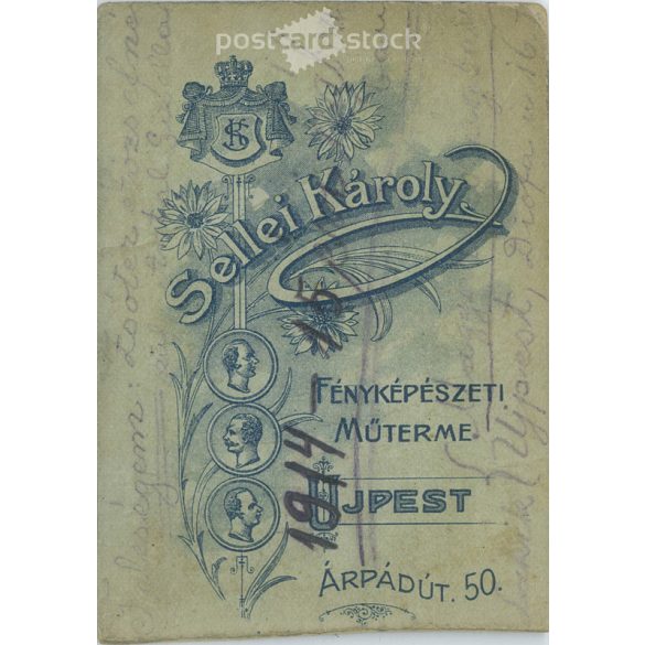 Cabinet photo taken in the photo studio of Károly Sellei in Újpest. Artistic portrait photo of young woman with exciting hairstyle and dress.  Cabinet card / CDV photo / hardback photo. (2791962)