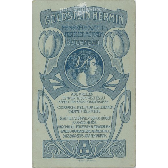 Cabinet photo taken in Goldstein’s photo studio Hermin. Szigetvár. Brothers in elegant attire, studio shot.  Cabinet card / CDV photo / hardback photo. (2791989)