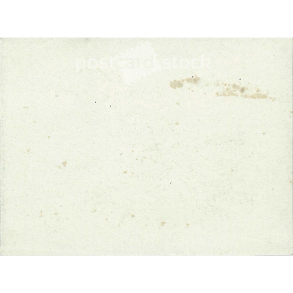 Two pretty ladies in the park. Original paper image. (2792010)