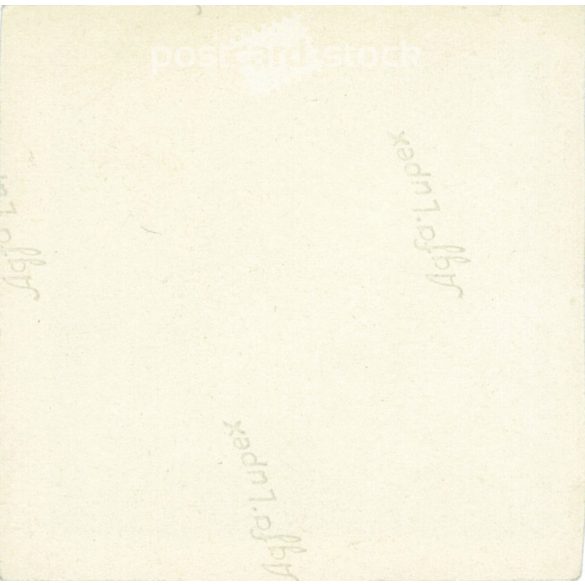 Young ladies, classmates in the park. Original small paper image. (2792016)