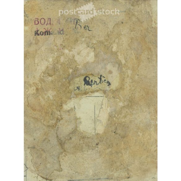 Portrait photo of young woman in elegant striped blouse. Small paper image, photo sheet detail. (2792017)